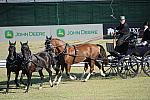 WEG3-10-7-10-DR-DRE-5652-DarrylBilling-CAN-DDeRosaPhoto.jpg