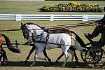 WEG3-10-7-10-DR-DRE-5679-WernerUlrich-SUI-DDeRosaPhoto.jpg