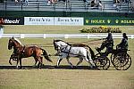 WEG3-10-7-10-DR-DRE-5705-WernerUlrich-SUI-DDeRosaPhoto.jpg