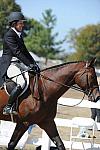 WEG3-10-7-10-Hunters-WEG_6012-DDeRosaPhoto.jpg