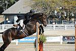 WEG3-10-7-10-Hunters-WEG_6041-DDeRosaPhoto.jpg