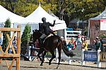 WEG3-10-7-10-Hunters-WEG_6046-DDeRosaPhoto.jpg
