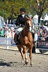 WEG3-10-7-10-Hunters-WEG_6051-DDeRosaPhoto.jpg