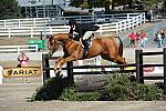 WEG3-10-7-10-Hunters-WEG_6058-DDeRosaPhoto.jpg