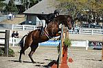 WEG3-10-7-10-Hunters-WEG_6100-DDeRosaPhoto.jpg