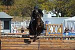 WEG3-10-7-10-Hunters-WEG_6122-DDeRosaPhoto.jpg
