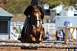 WEG3-10-7-10-Hunters-WEG_6148-DDeRosaPhoto.jpg