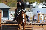 WEG3-10-7-10-Hunters-WEG_6149-DDeRosaPhoto.jpg