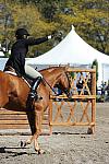 WEG3-10-7-10-Hunters-WEG_6159-DDeRosaPhoto.jpg