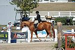 WEG3-10-7-10-Hunters-WEG_6160-DDeRosaPhoto.jpg