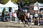 WEG3-10-7-10-Hunters-WEG_6177-DDeRosaPhoto.jpg