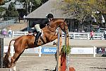 WEG3-10-7-10-Hunters-WEG_6198-DDeRosaPhoto.jpg