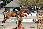 WEG3-10-7-10-Hunters-WEG_6199-DDeRosaPhoto.jpg