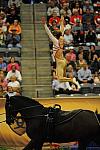 WEG3-10-7-10-Vaulting-5783-DDeRosaPhoto.jpg