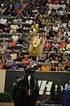 WEG3-10-7-10-Vaulting-5810-DDeRosaPhoto.jpg