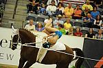 WEG3-10-7-10-Vaulting-5844-DDeRosaPhoto.jpg