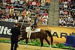 WEG3-10-7-10-Vaulting-5871-DDeRosaPhoto.jpg