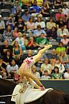 WEG3-10-7-10-Vaulting-5907-DDeRosaPhoto.jpg