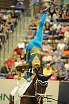 WEG3-10-7-10-Vaulting-5978-DDeRosaPhoto.jpg
