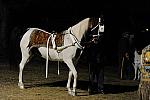 WEG1-9-22-10-Miramar_0151-DDeRosaPhoto.jpg