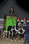 WEG1-9-22-10-Miramar_0201-DDeRosaPhoto.jpg