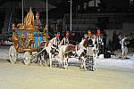 WEG1-9-22-10-Miramar_0295-DDeRosaPhoto.jpg