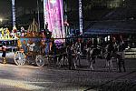 WEG1-9-22-10-Miramar_0347-DDeRosaPhoto.jpg
