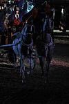 WEG1-9-22-10-Miramar_0364-DDeRosaPhoto.jpg