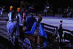 WEG1-9-22-10-Miramar_0375-DDeRosaPhoto.jpg