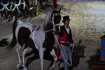 WEG1-9-22-10-Miramar_0396-DDeRosaPhoto.jpg