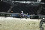 WEG1-9-22-10-Miramar_0226-DDeRosaPhoto.jpg