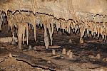 WEG1-9-23-10-Tour_0433-DDeRosaPhoto.jpg