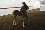 WEG1-9-24-10-Tour_0821-DDeRosaPhoto.jpg