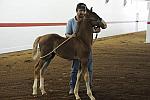 WEG1-9-24-10-Tour_0822-DDeRosaPhoto.jpg