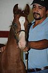 WEG1-9-24-10-Tour_0824-DDeRosaPhoto.jpg