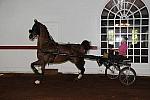 WEG1-9-24-10-Tour_0842-DDeRosaPhoto.jpg