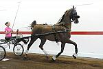 WEG1-9-24-10-Tour_0853-DDeRosaPhoto.jpg