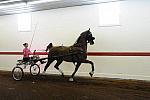 WEG1-9-24-10-Tour_0858-DDeRosaPhoto.jpg