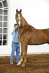 WEG1-9-24-10-Tour_0895-DDeRosaPhoto.jpg