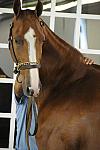 WEG1-9-24-10-Tour_0903-DDeRosaPhoto.jpg