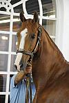 WEG1-9-24-10-Tour_0907-DDeRosaPhoto.jpg