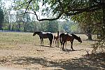 WEG1-9-24-10-Tour_0929-DDeRosaPhoto.jpg