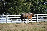 WEG1-9-24-10-Tour_0937-DDeRosaPhoto.jpg