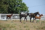 WEG1-9-24-10-Tour_0947-DDeRosaPhoto.jpg