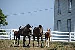 WEG1-9-24-10-Tour_0950-DDeRosaPhoto.jpg