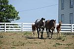 WEG1-9-24-10-Tour_0951-DDeRosaPhoto.jpg