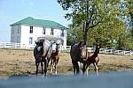 WEG1-9-24-10-Tour_0955-DDeRosaPhoto.jpg