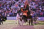 WEG1-9-25-10-Opening-WEG_1769-DDeRosaPhoto.jpg