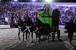 WEG1-9-25-10-Opening-WEG_1900-DDeRosaPhoto.jpg