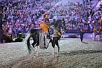 WEG1-9-25-10-Opening-WEG_1971-DDeRosaPhoto.jpg